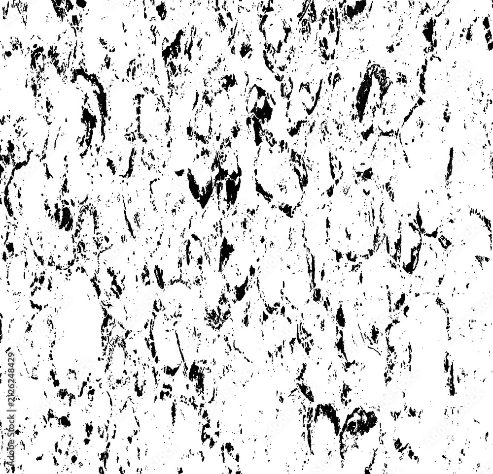 Obraz premium Rough black and white texture. Distressed overlay grunge background. Abstract textured effect. Black isolated on white background. EPS10