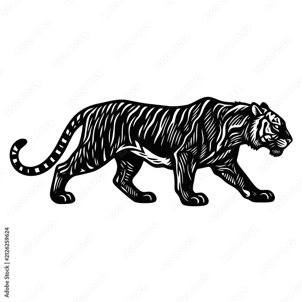 Obraz premium Walking tiger illustration. Black and white vector wild cat in vintage engraving style.