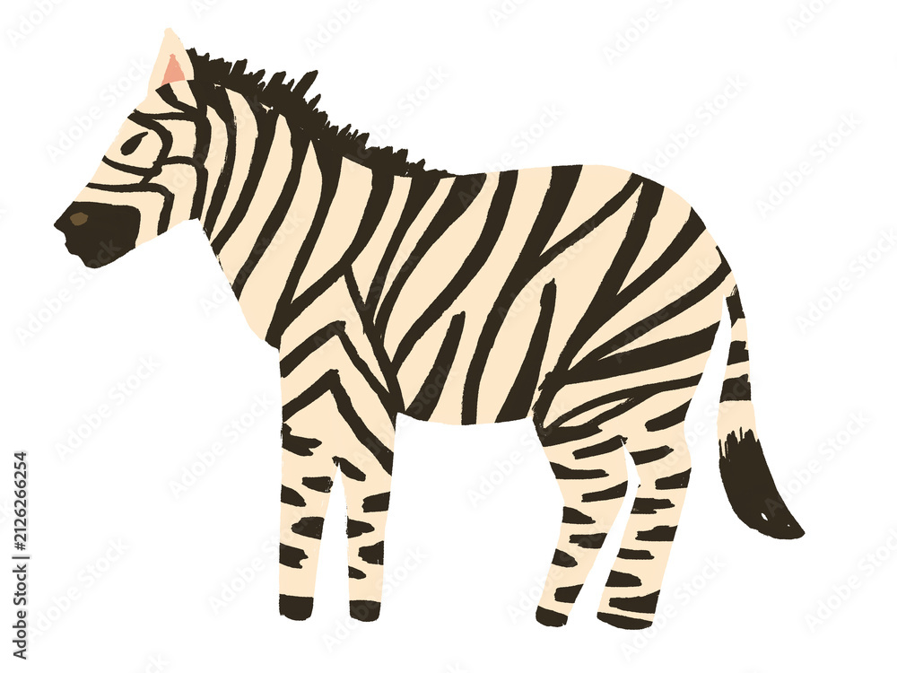 Fotografie Zebra illustration design isolated on transparent background