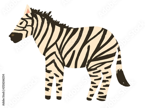 Photography Zebra illustration design isolated on transparent background
