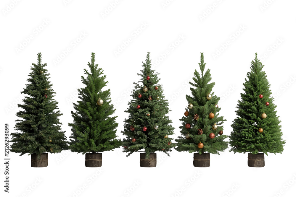Obraz premium Row of decorated potted Christmas trees
