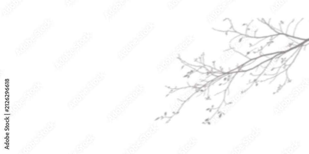 Obraz premium Tree branch shadow overlay. Natural leaf silhouette for aesthetic design projects.