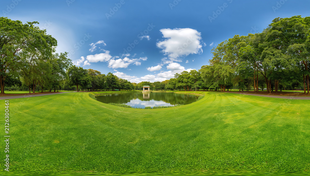 Fototapeta premium Serene park with a tranquil pond and lush green lawn under a blue sky