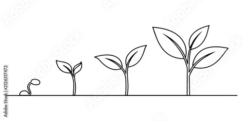 Continuous line drawing shows plant growth stages from seed to mature plant, symbolizing development, Continuous line drawing of plant growth stages from seed to mature tree, Continuous one line 