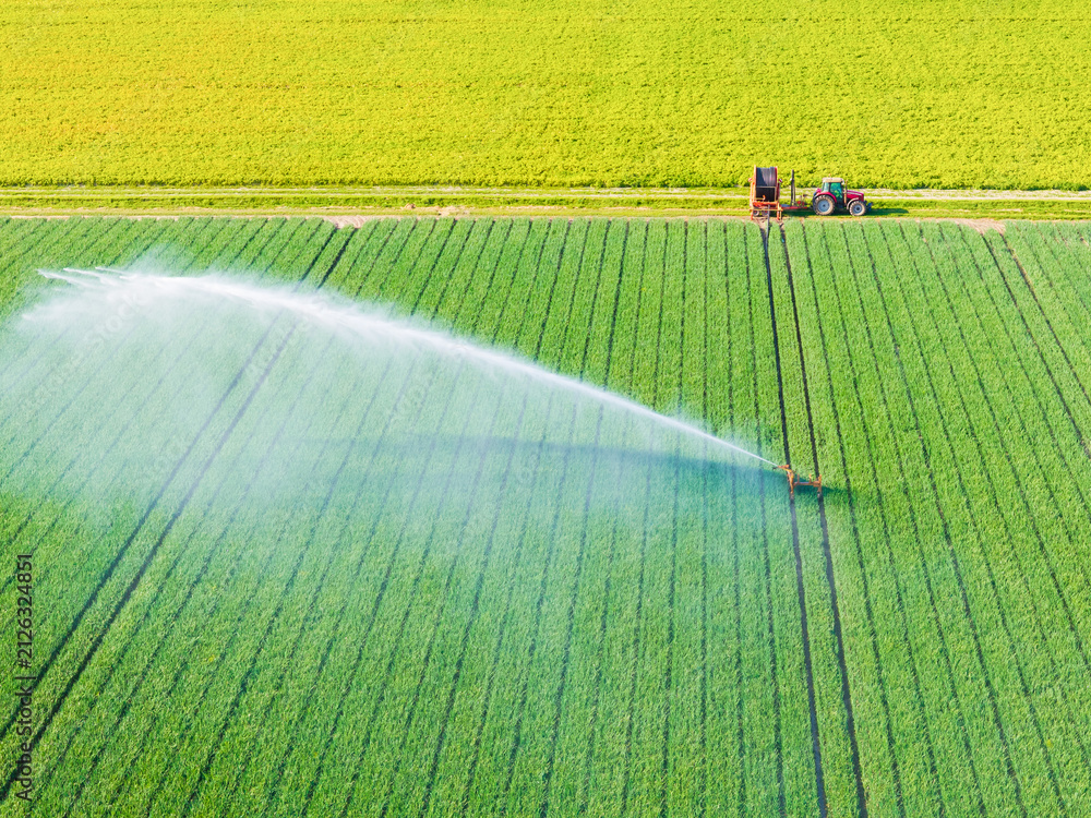 Obraz premium Aerial drone view of agricultural field with irrigation system watering crops. Center pivot irrigation machine spraying water on agricultural land.