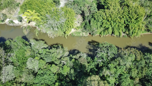 Картината върху платно Leito de Rio,
Sul de Minas, mg
Brasil