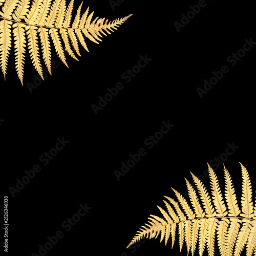 фотографія Gold fern leaves floral border isolated on black background