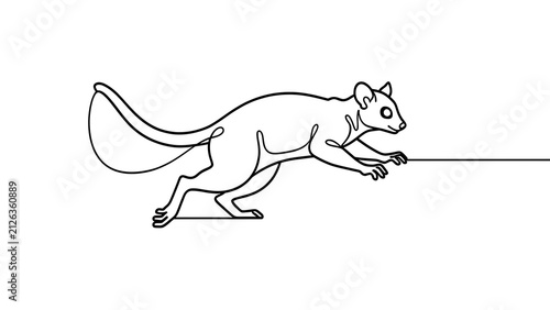 Kangaroo rat illustration on white background.