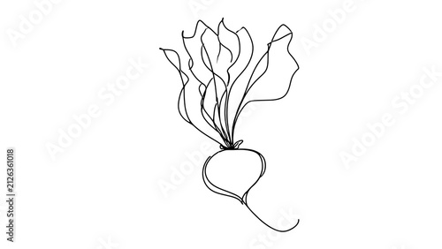 Minimalist line art plant on white background.