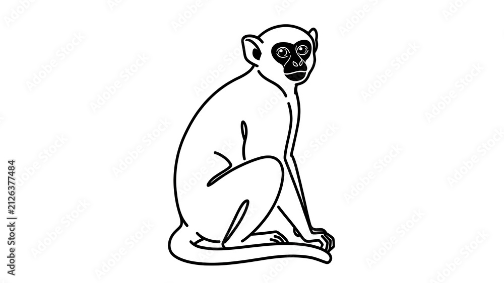 Fototapeta premium Sitting lemur illustration on white background.