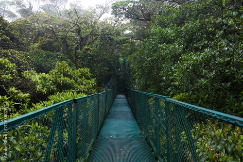 Horizontal View of Green Suspension Hanging Bridge Leading into Monteverde Cloud Forest Canopy Costa Rica