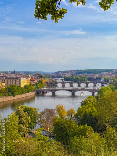 Принти на полотні View of Prague bridges and Vltava river from a green hillside during daytime