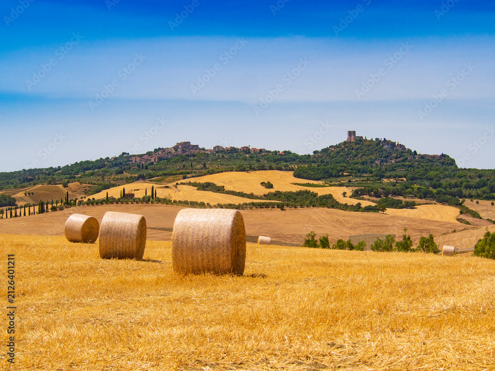 Fototapeta premium Italia, Toscana, Siena, la campagna senese in estate.