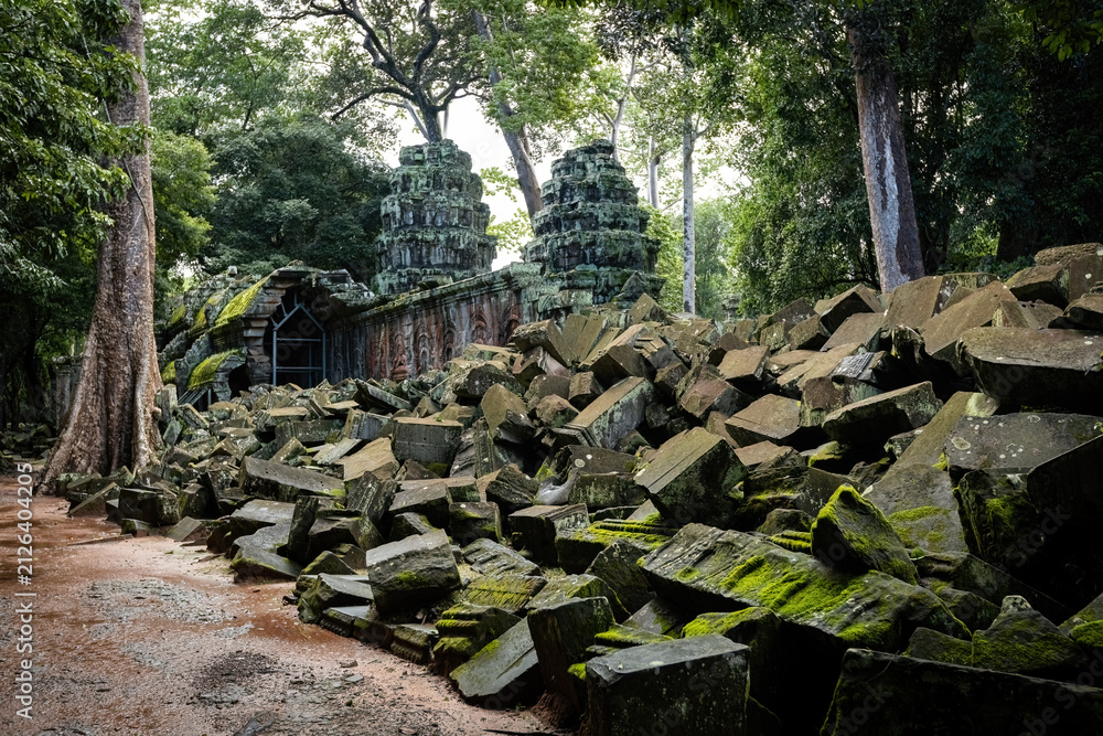 Fototapeta premium Outside view details and huge tree roots at Ta Prom temple, Siem Reap, Cambodia