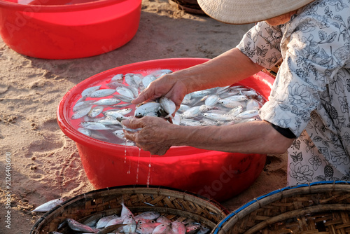Konstfotografi Close up of a woman's hands scooping fresh fish out of a water basin into a wove