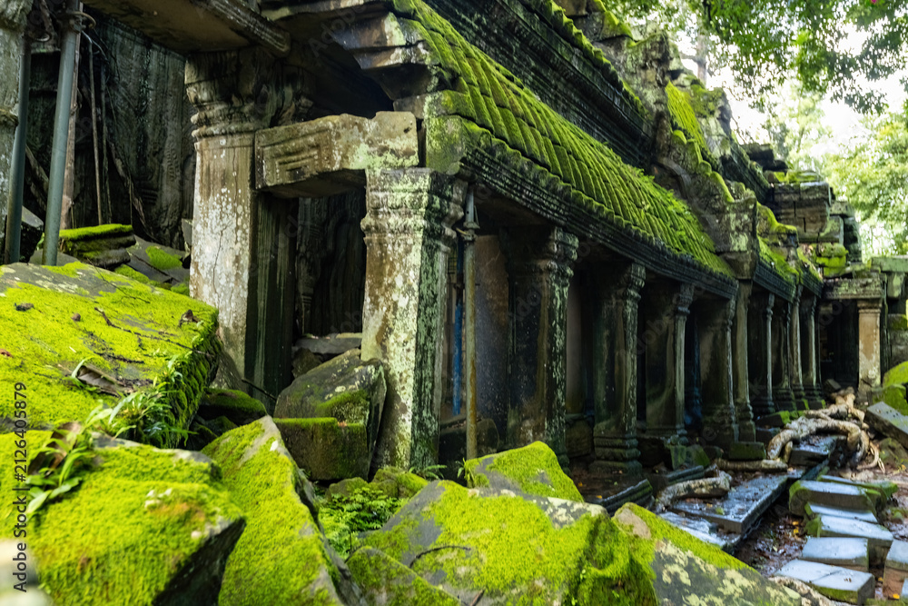 Fototapeta premium Outside view details and huge tree roots at Ta Prom temple, Siem Reap, Cambodia