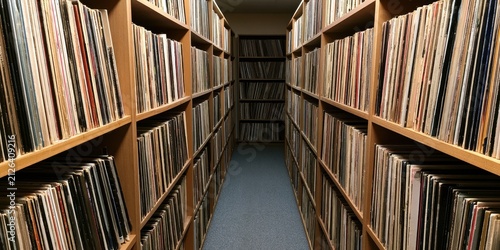 Extensive Vinyl Record Collection Aisle on Wooden Shelves