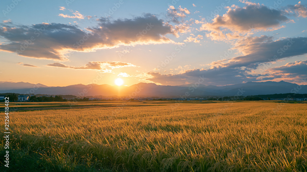 田園風景 稲穂 田園」の写真素材 | 48,098件の無料イラスト画像