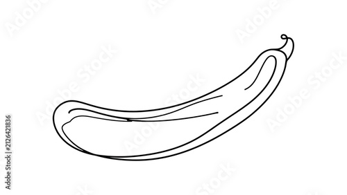Hand drawn cucumber illustration white background.