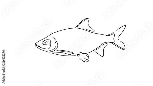 Simple fish line drawing on white background.