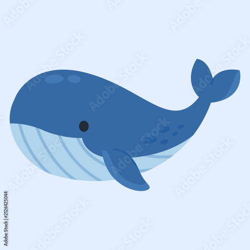 Photography blue whale illustration