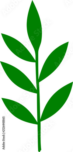 Illustration of a green leaf botanical plant stem