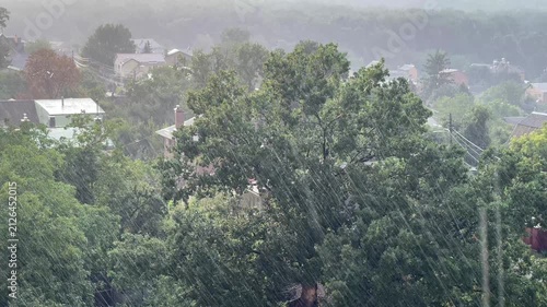 Torrential rain downpour over green trees and residential area