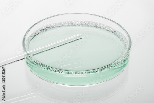 фотографія Petri Dish with Glass Stirring Rod and Light Green Liquid on Light Background wi