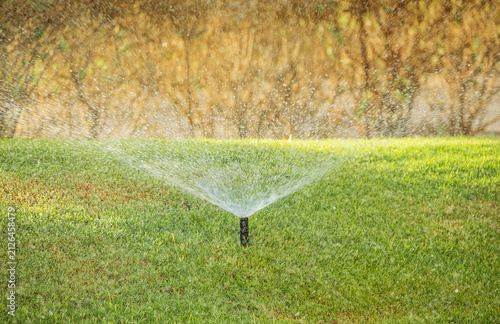 Foto Automatic Pop Up Sprinkler System Watering Fresh Green Lawn, Smart Irrigation Te