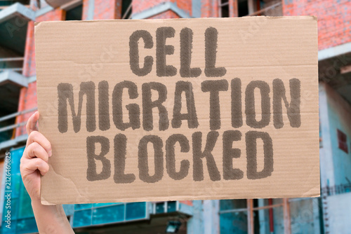 Fotografie "Cell Migration Blocked" Stop tumor cells from moving and spreading