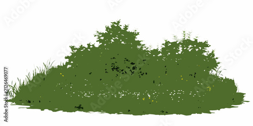 Cuadro en lienzo Wildflower meadow with green foliage and scattered yellow blooms on a white back