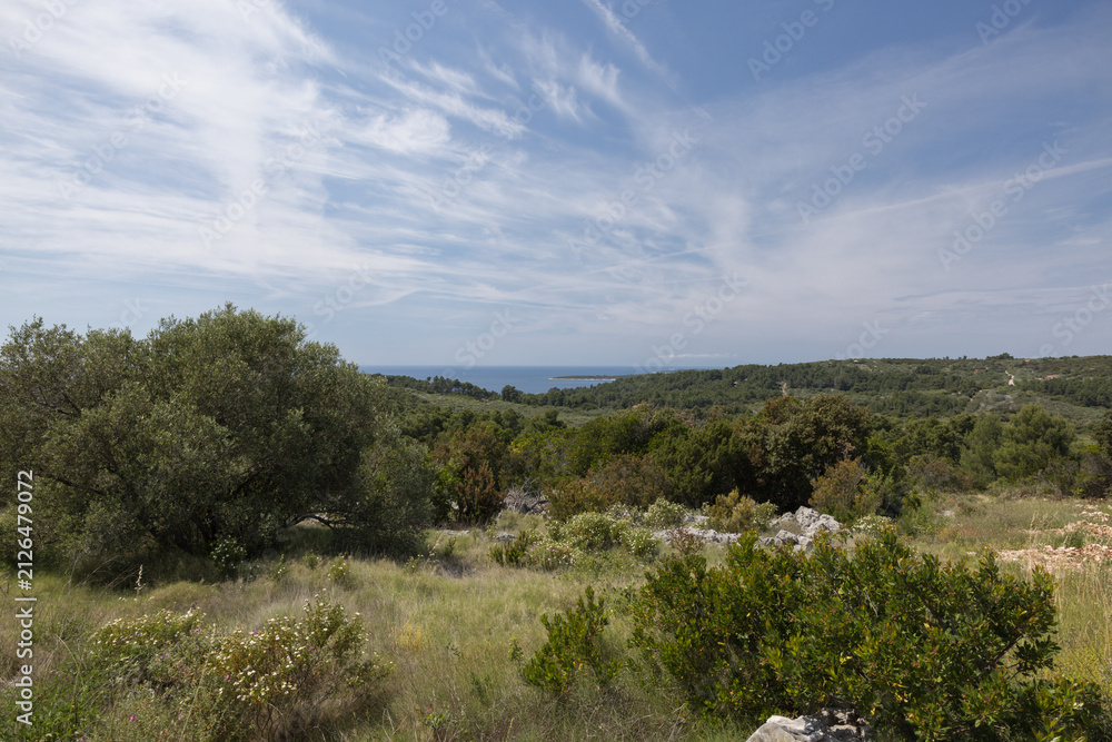 Fototapeta premium Scenic panoramic view of green Mediterranean hills and distant sea near Vela Luka on Korcula island, Croatia