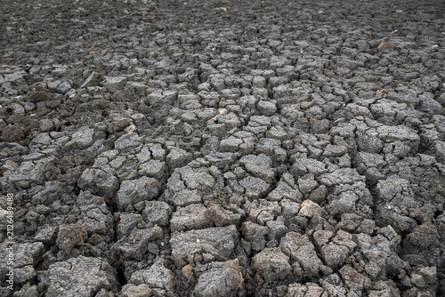 Foto Arid cracked earth during prolonged drought