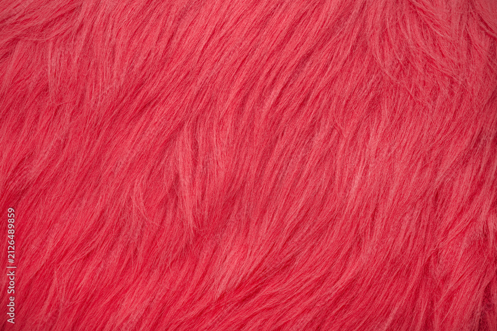 Fototapeta premium Bright red fur texture covers a surface in an artistic display of color and pattern during daylight