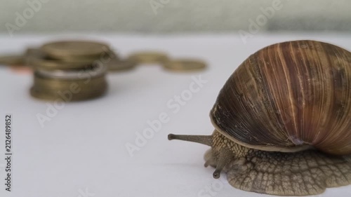 a snail crawls on white paper towards a stack of copper coins	