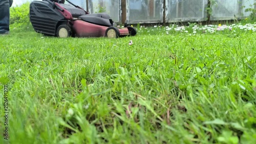 Gardener mowing the lawn. Landscape design. Green grass background	
