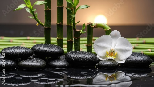 White orchid flower with bamboo and zen stones.