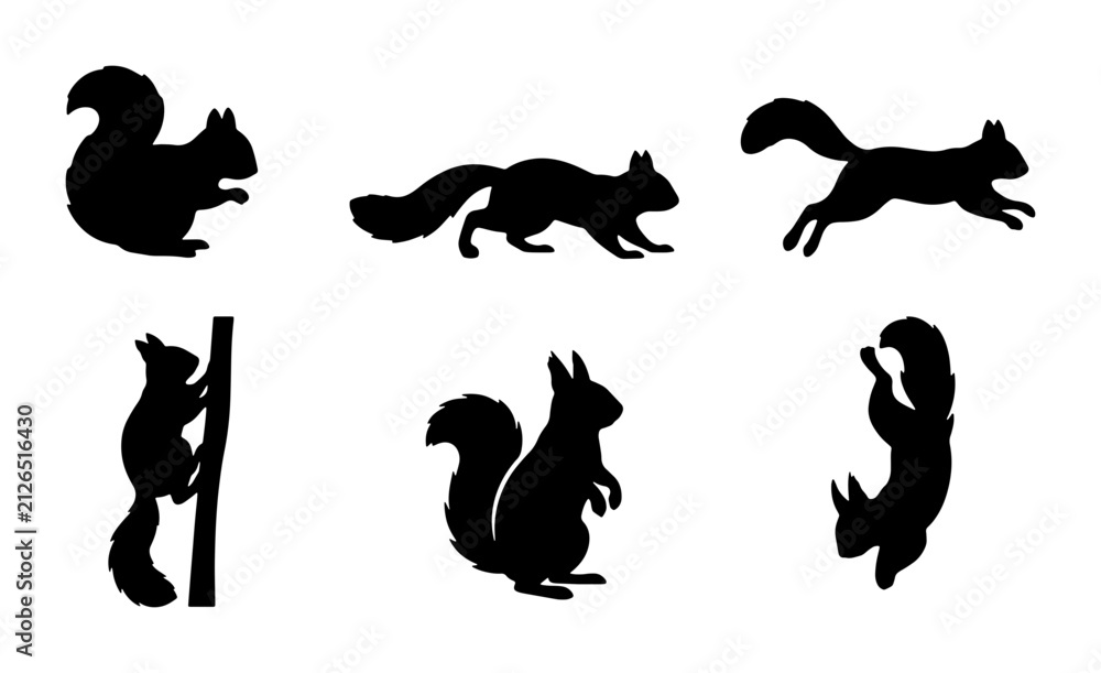 Obraz premium Squirrel Silhouettes Set, Woodland Animal Vector Icons, Nature Wildlife Graphic Elements