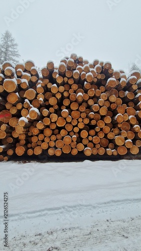 Stapel mit Baumstämmen in Winter bei Schnee