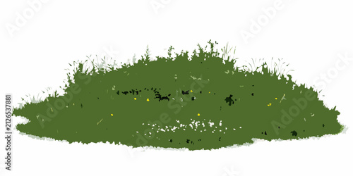 Fotografía Grassy island with wildflowers a vector illustration on a transparent background