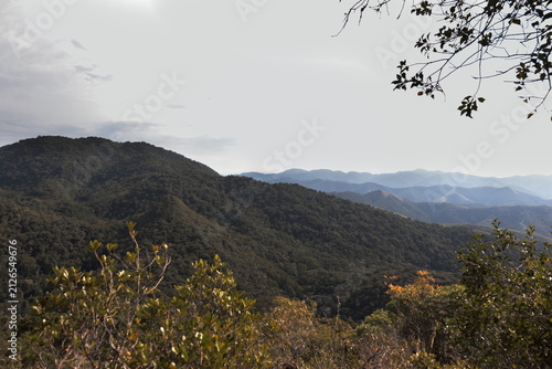 Canvastavla Trilhas Núcleo Caverna do Diabo - Eldorado-BR