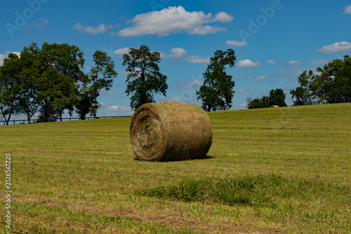 Hay bale in the field
