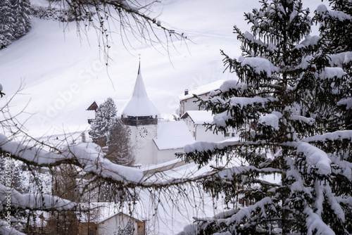snow covered tree, Christmas time