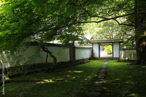 愛媛県大洲市　如法寺　出口