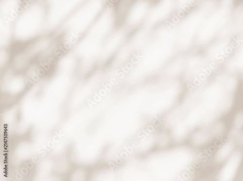 Brown shadow of leaves tree plant overlay on white wall. Sunlight effect shadow on the wall. Minimal blurred backdrop backgrounds. Summer tropical surface background.