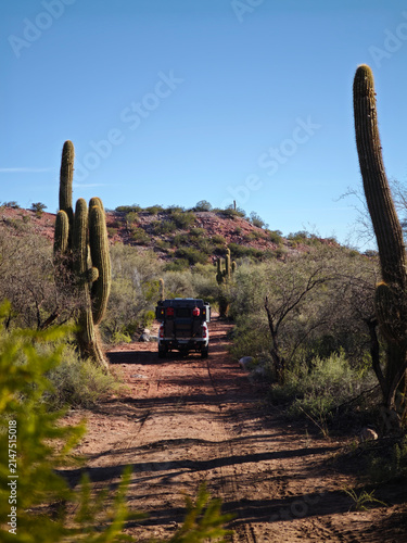 Rear view of off road camper truck exploring scenic mountain trail surrounded by cardon cacti