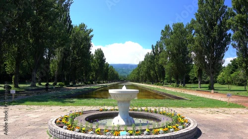 前田森林公園ポプラ並木　北海道
