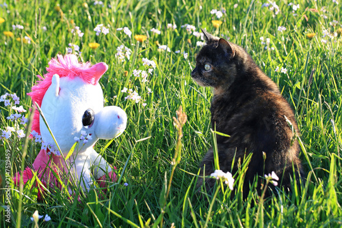 Eine kleine niedliche schwarze Katze mit einem ebenso niedenlichen Plüsch Einhorn in einer Wiese