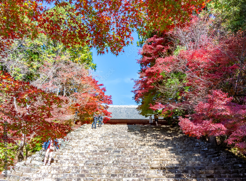 Naklejka premium Jingo-Ji temple gardens on Takao mountain in autumn, Kyoto, Japan