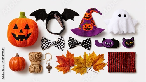 Halloween pet costume accessories and decorations isolated on white background